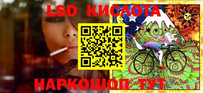 PSILOCYBIN Нальчик