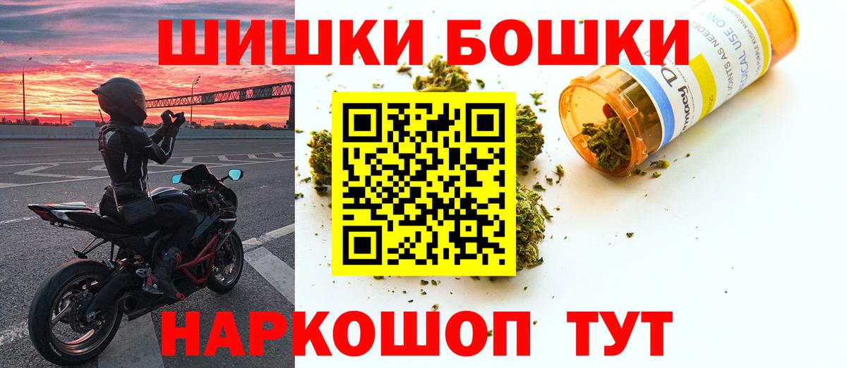 Каннабис ГИДРОПОН Тара